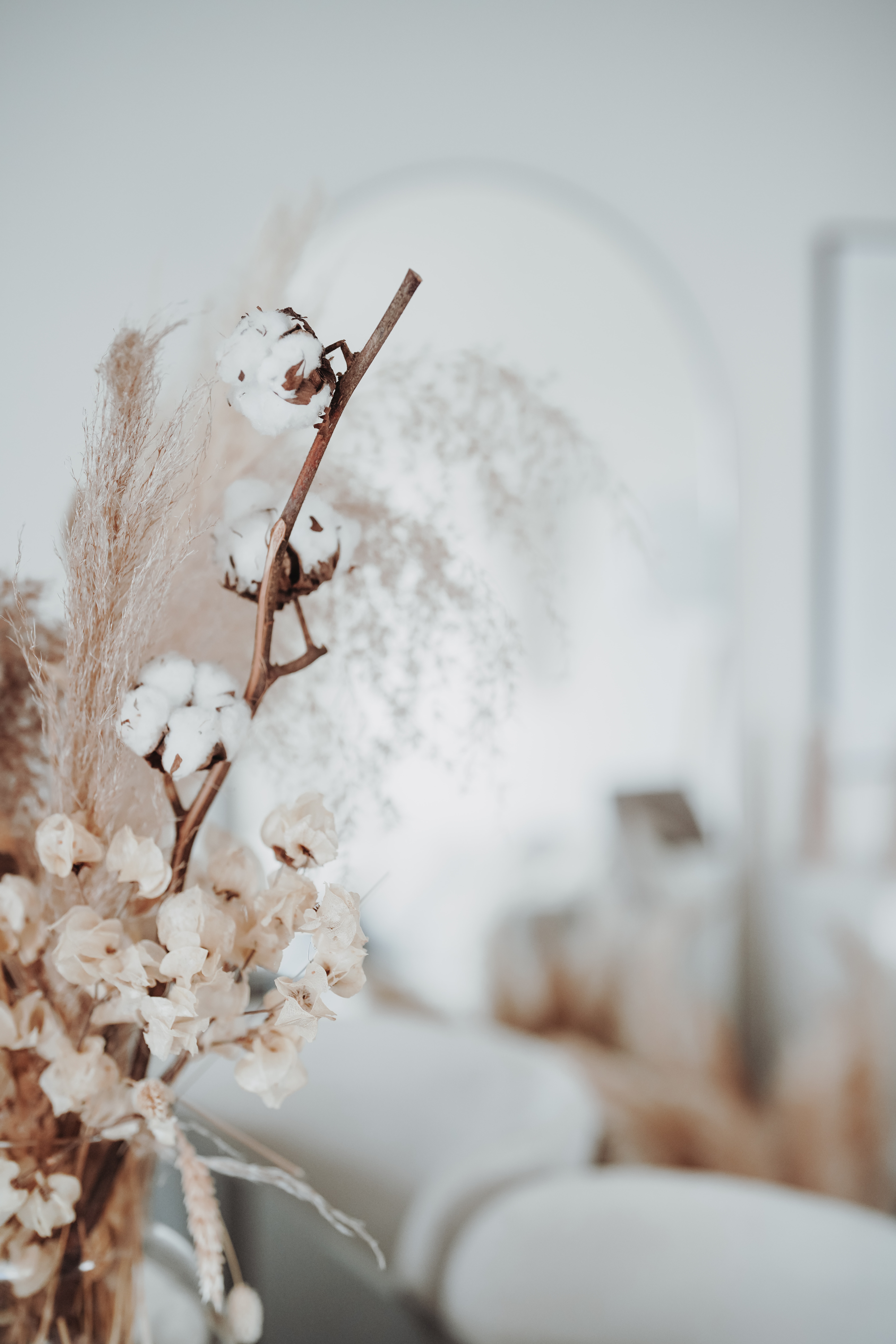 jasmin-ne-udvq8tFiYqA-unsplash